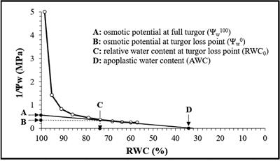 Drought responsiveness in six wheat genotypes: identification of stress resistance indicators
